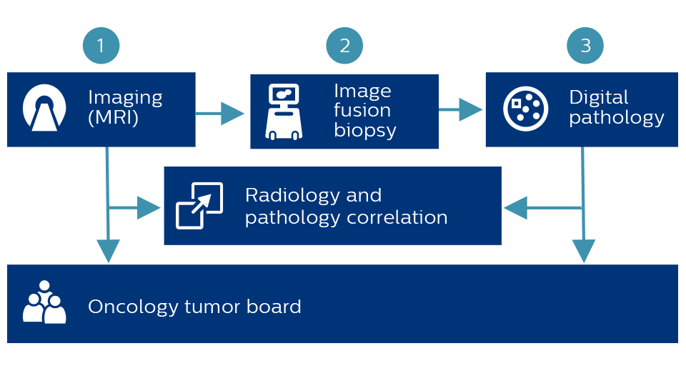 Darstellung der Verbindung von MRT, Bildfusions-Biopsie, digitaler Pathologie, Radiologie und Pathologie und Tumorkonferenz