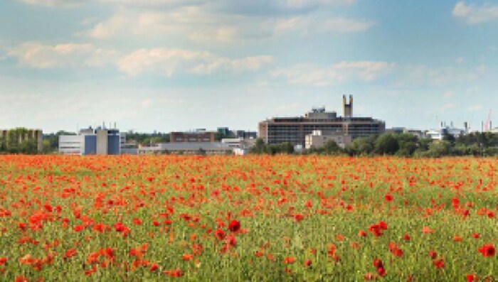 Die Cambridge university