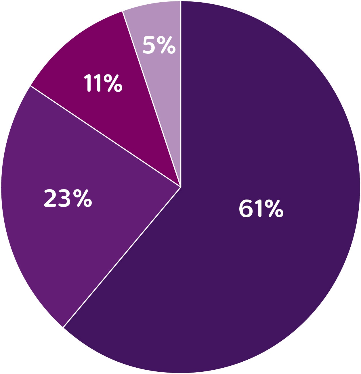 ein violettes Kreisdiagramm mit Zahlen
