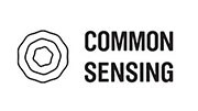 Logo Common Sensing