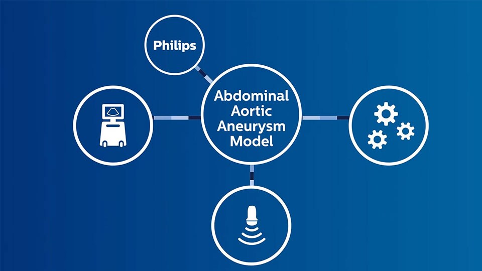 Abdominales Aortenaneurysma-Modell