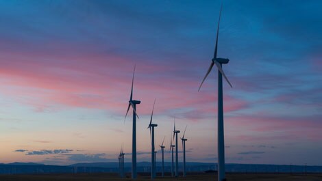 Philips setzt Reduktionsziele von Treibhausgasemissionen in seinen Lieferketten