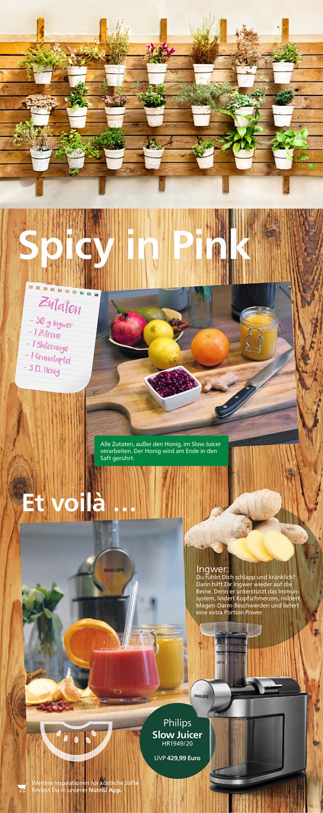 Philips DA Themensheet - Spicy in Pink