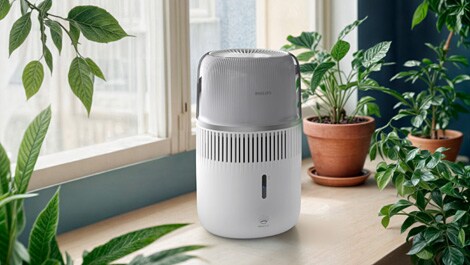 Philips Luftbefeuchter 5000 Series HU5710/00 – Lifestylebild